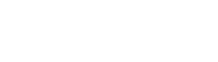 IR_logo_2025_hvit